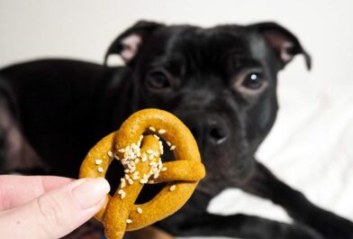 batátové preclíky pro psy od zolly dog bakery